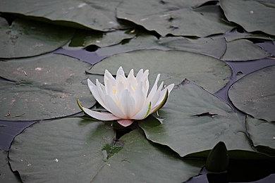 《战地2042》3.2更新上线 兵种系统回归